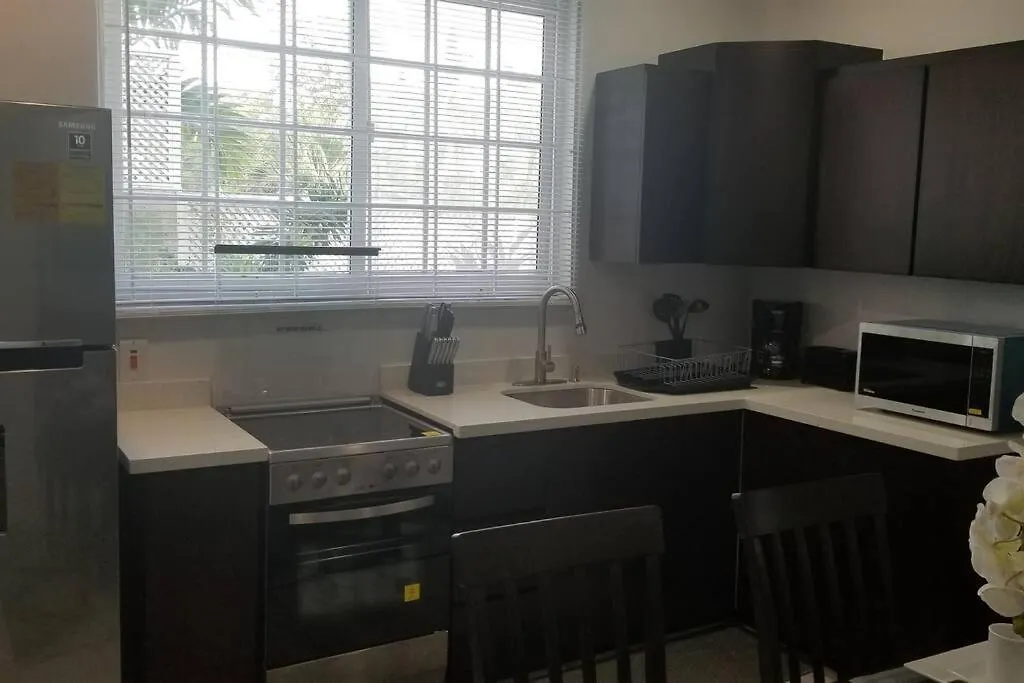 Ridgeview Suite 4 Κίνγκστον Διαμέρισμα