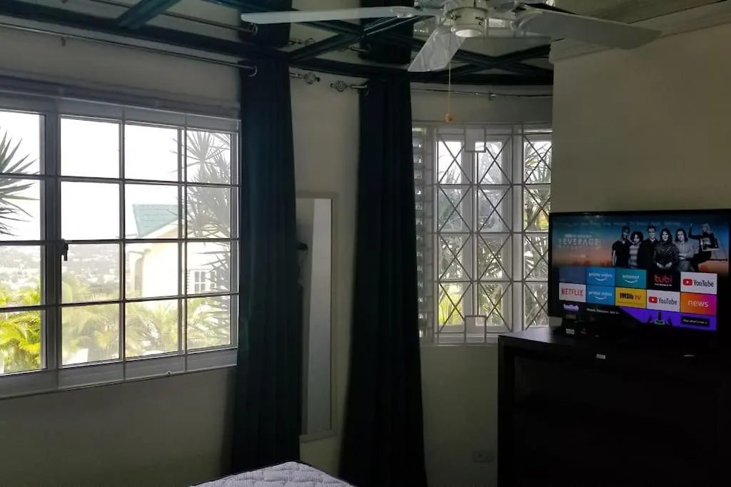 Ridgeview Suite 4 Kingston Apartmán